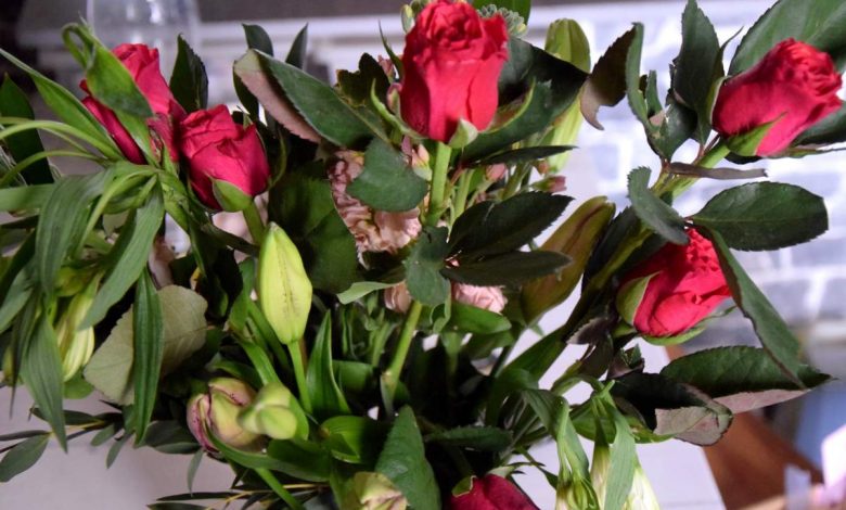 Pour la fête des mères, offrez des fleurs avec Bloom&Wild (Test)
