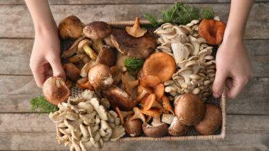 Une étude américaine explique que manger des champignons chaque jour réduirait de moitié les risques de cancer !