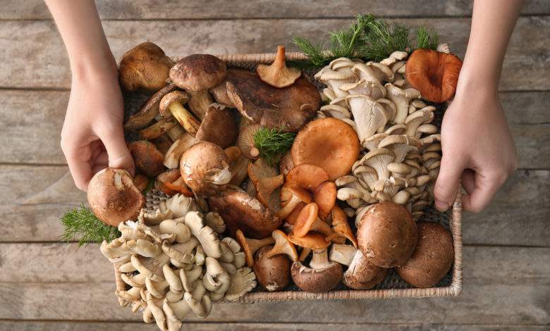 Une étude américaine explique que manger des champignons chaque jour réduirait de moitié les risques de cancer !
