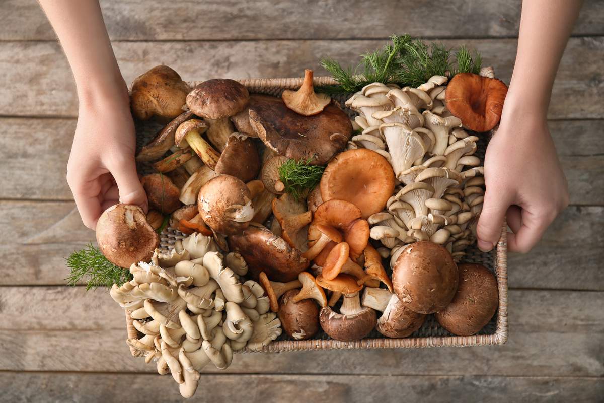 Une étude américaine explique que manger des champignons chaque jour réduirait de moitié les risques de cancer !