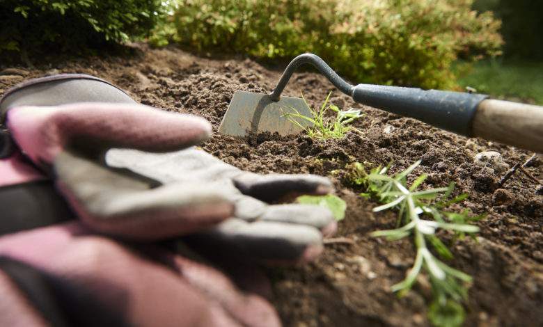 Comment désherber votre jardin sans vous tuer à la tâche ?