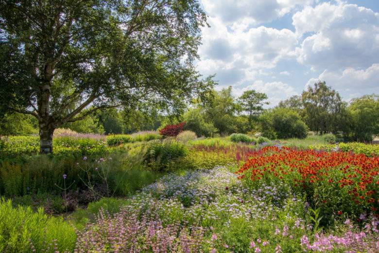 Comment désherber votre jardin sans vous tuer à la tâche ?