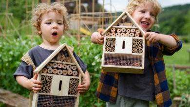 6 astuces pour créer de la biodiversité dans son propre jardin !