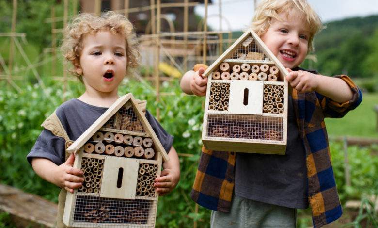 6 astuces pour créer de la biodiversité dans son propre jardin !