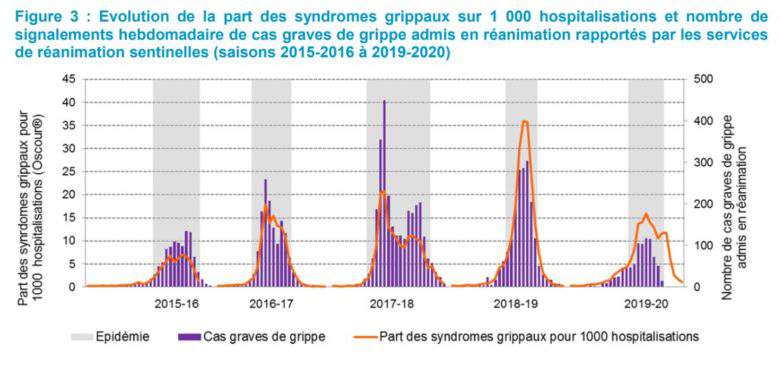 Deux souches du virus de la grippe disparues grâce à la Covid-19 ?