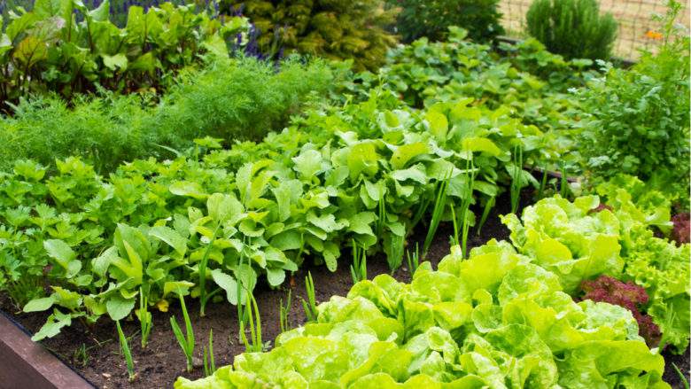 Et si après les maisons containers, nous avions les jardins ou piscines containers ?