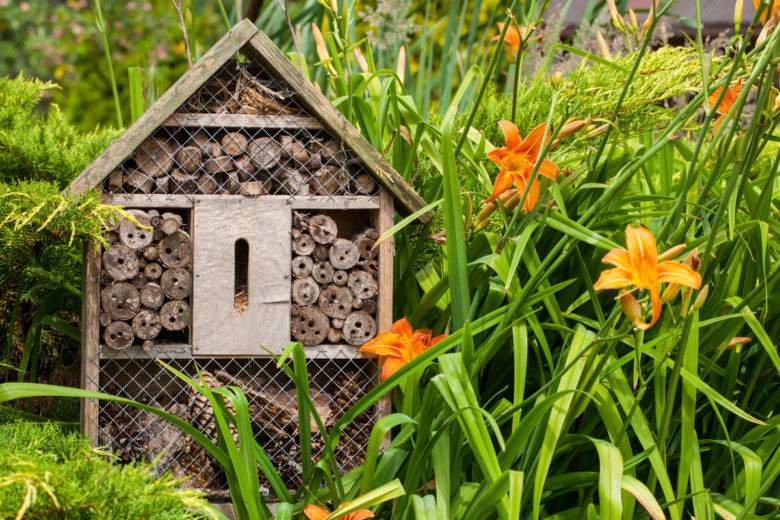 6 astuces pour créer de la biodiversité dans son propre jardin !