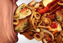 Le système immunitaire traite la "malbouffe" comme une infection dangereuse explique cette étude Allemande