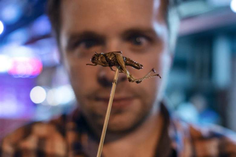 Consommer des animaux sans système nerveux complexe, comme les insectes et les huîtres