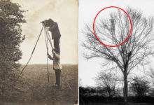 Des inventions folles et dangereuses pour prendre des photos animalières. Crédits photo: Photographie du National Media Museum et sous licence CC BY 2.0