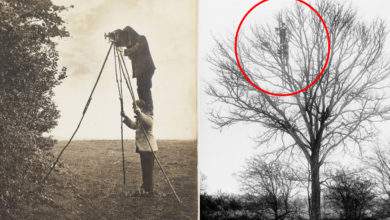 Des inventions folles et dangereuses pour prendre des photos animalières. Crédits photo: Photographie du National Media Museum et sous licence CC BY 2.0