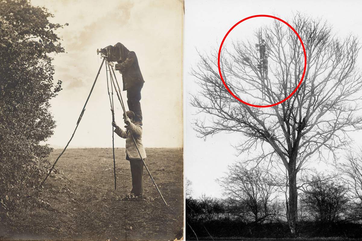 Des inventions folles et dangereuses pour prendre des photos animalières. Crédits photo: Photographie du National Media Museum et sous licence CC BY 2.0