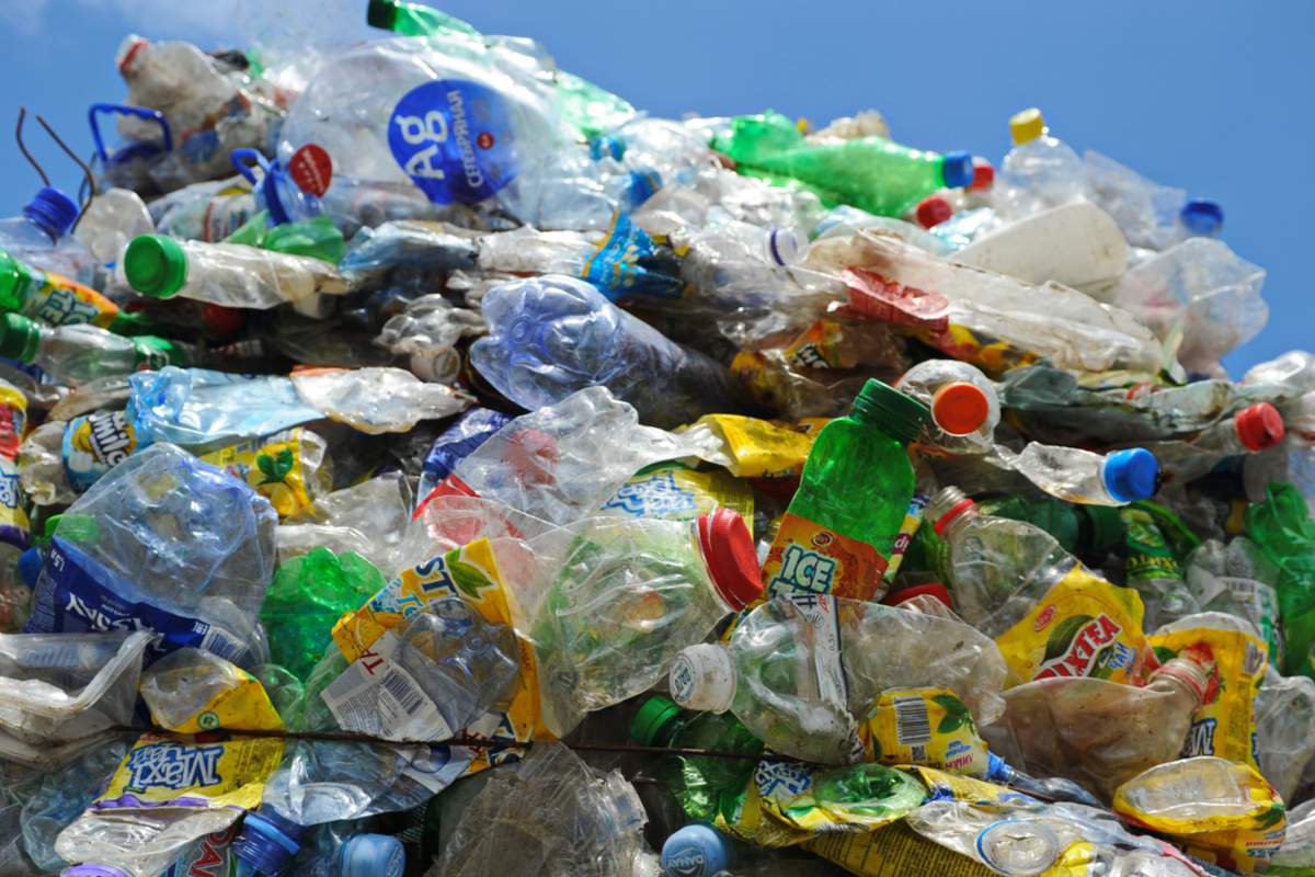 Chimie verte : des scientifiques transforment des déchets plastiques en arôme de vanille