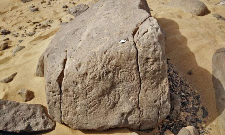 Egypte : ce panneau vieux de 5000 ans délimitait le domaine du Roi Horus-Scorpion