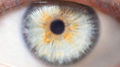 Une étude scientifique affirme que la taille de votre pupille aurait une influence sur votre intelligence !