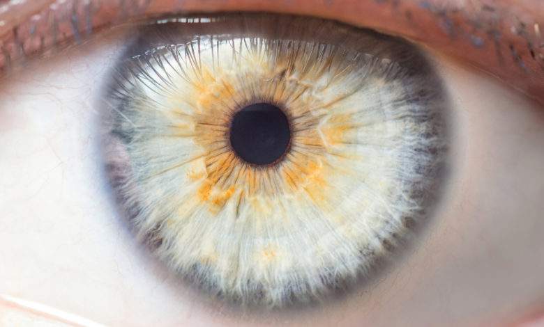 Une étude scientifique affirme que la taille de votre pupille aurait une influence sur votre intelligence !