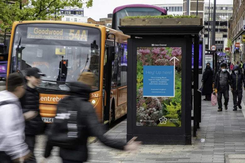 La ville de Leicester végétalise les toits de ses abribus pour faire revenir les abeilles en centre-ville 