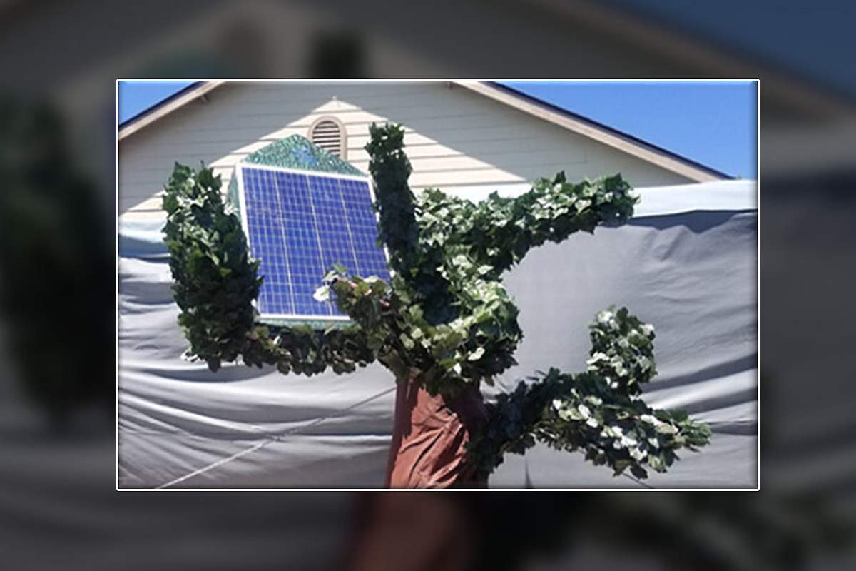 Des étudiants inventent un arbre à énergie propre et remporte 10 000 dollars pour leur innovation