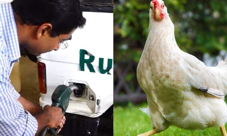 En Inde, un vétérinaire a créé un biodiesel à partir de restes de volaille
