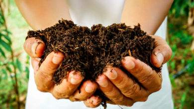 Comment réussir à coup sûr son compost de jardin ?