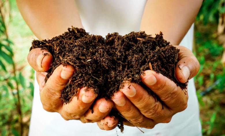 Comment réussir à coup sûr son compost de jardin ?