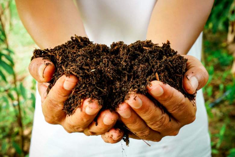 Comment réussir à coup sûr son compost de jardin ?