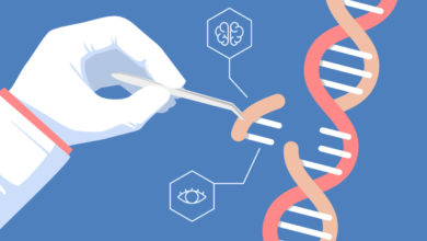 Premier succès d'un traitement CRISPR intraveineux sur une maladie génétique