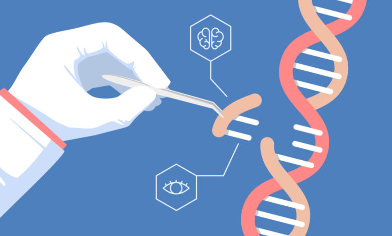 Premier succès d'un traitement CRISPR intraveineux sur une maladie génétique