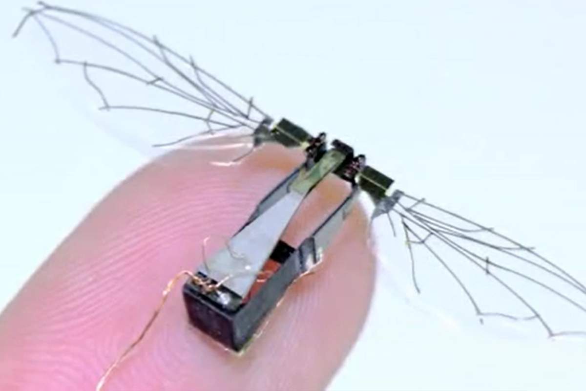 L'US Air Force développerait des nano-drones militaires inspirés des oiseaux et des insectes