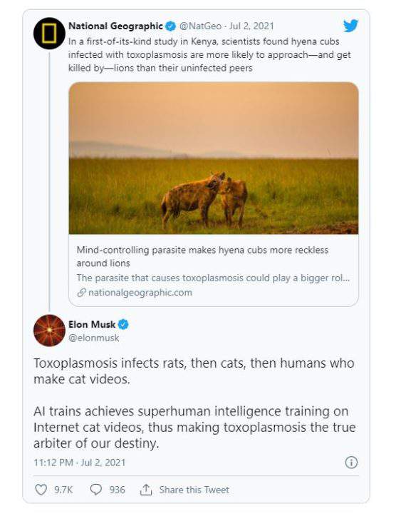 Pour Elon Musk, c'est un parasite de chat qui force les humains à créer une IA avancée...