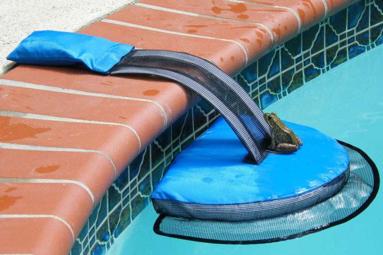 FrogLog, un ingénieux système qui permet d'éviter la noyade des animaux dans les piscines !