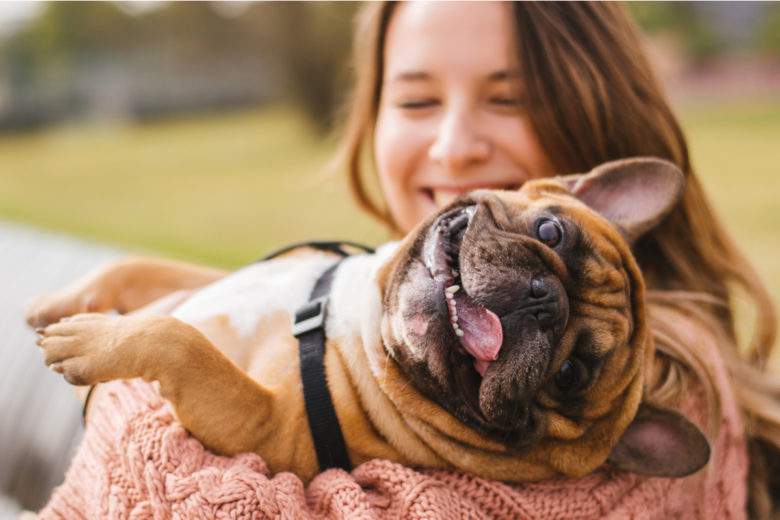 Un petit chien avec son propriétaire