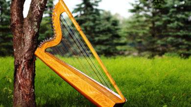 Cette étudiante paralysée peut jouer de la harpe, en utilisant uniquement ses yeux !
