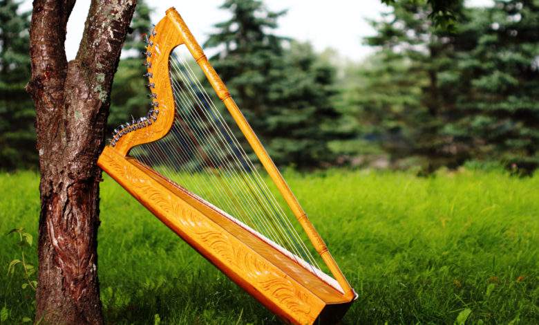 Cette étudiante paralysée peut jouer de la harpe, en utilisant uniquement ses yeux !
