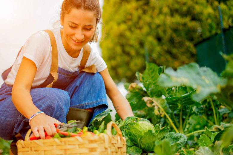 Les matériaux à utiliser pour un jardin anti gaspi