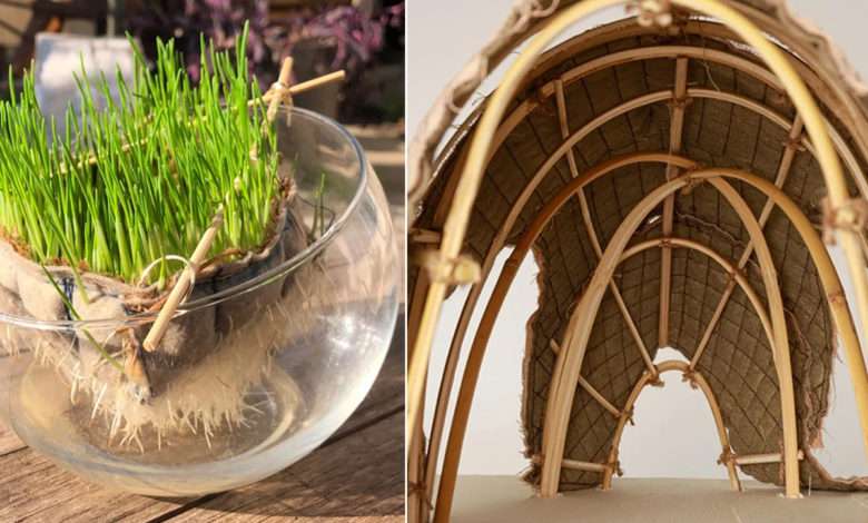 Living Shell : une étonnante petite maison construite à partir de plantes vivantes