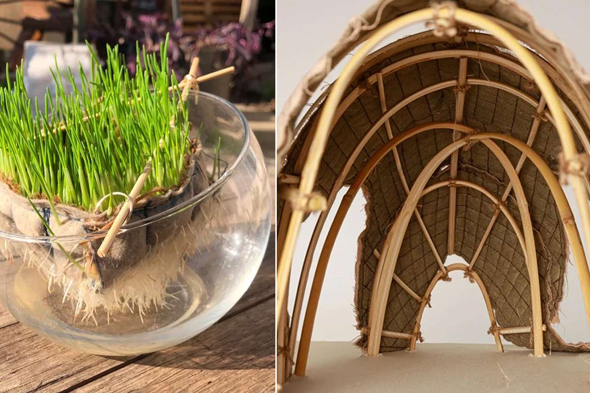 Living Shell : une étonnante petite maison construite à partir de plantes vivantes