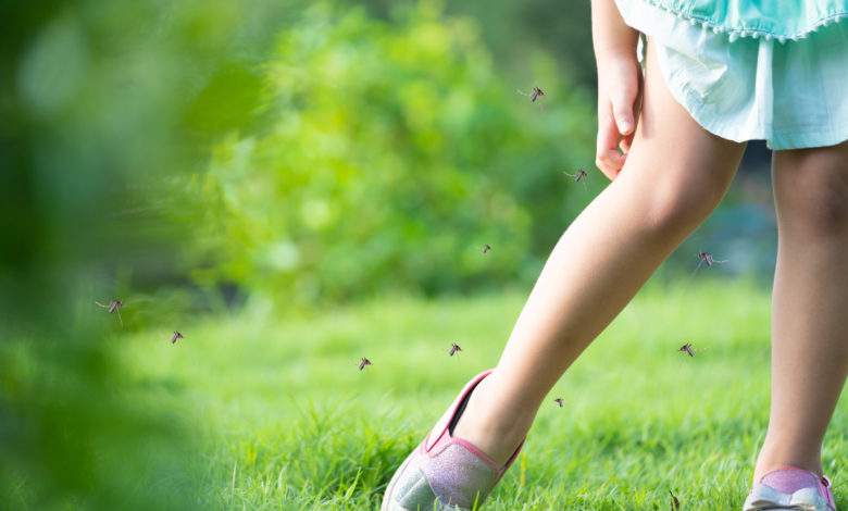 Pourquoi les moustiques vous piquent et ne touchent pas votre voisin ?