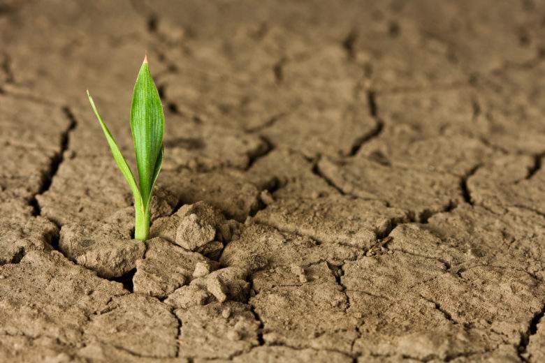 Cette invention favorise la germination des graines dans les zones très arides