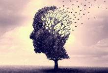 Alzheimer : quels facteurs de risques favorisent le développement de la maladie ?