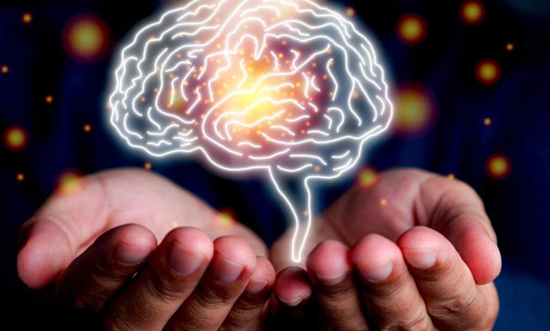 L'injection de bactéries intestinales et fécales pour rajeunir notre cerveau ?