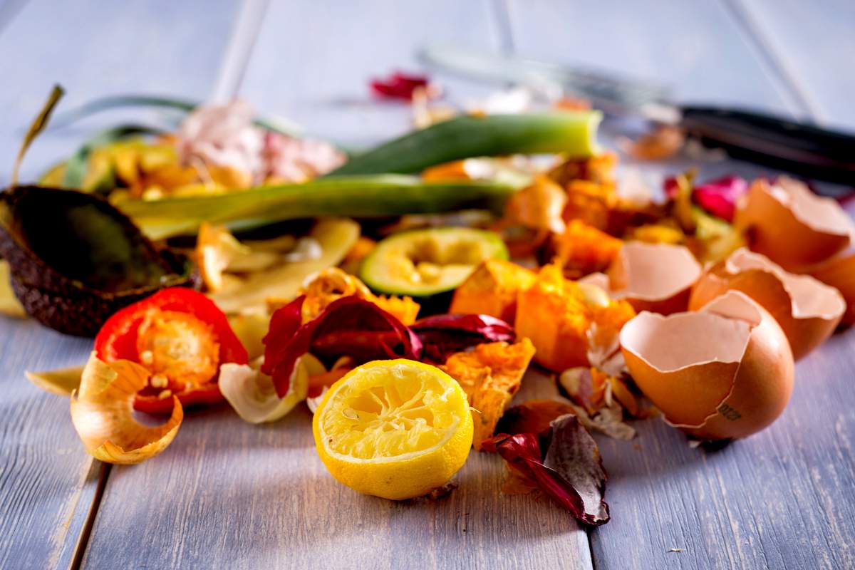 L'endroit improbable où il faudrait mettre son bac à compost (obligatoire  en janvier) au jardin