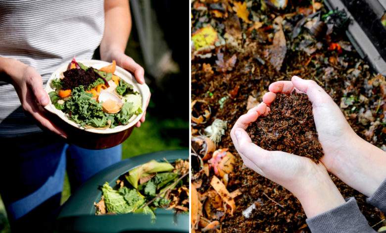 Comment composter au jardin, sur votre balcon ou même dans votre cuisine ?