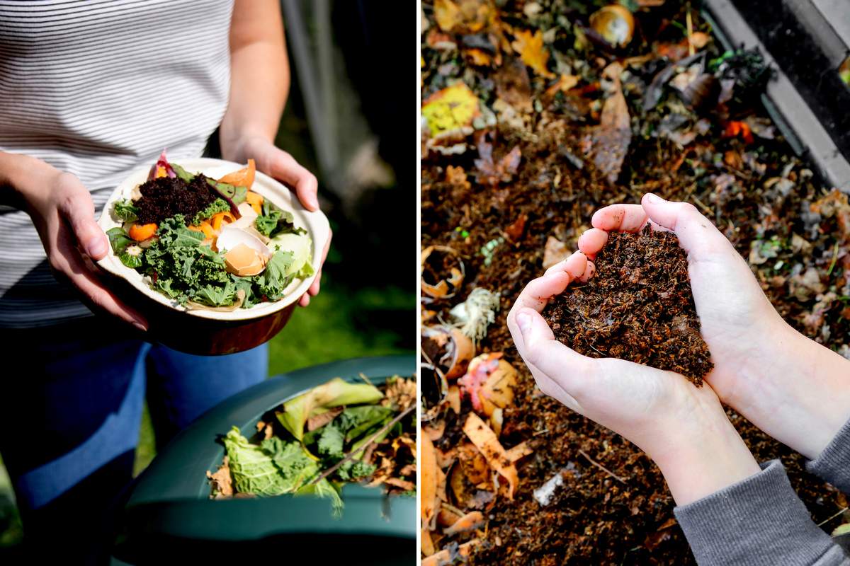 L'endroit improbable où il faudrait mettre son bac à compost (obligatoire  en janvier) au jardin