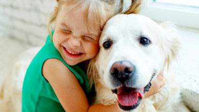 Ces études sont formelles, caresser un chien a un effets anti-stress !