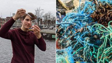 Un étudiant veut utiliser des "aimants" pour nettoyer les océans de la pollution aux microplastiques