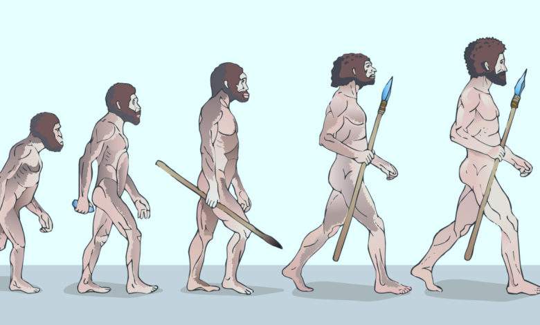 Le climat a modifié la taille de notre corps et celle de notre cerveau