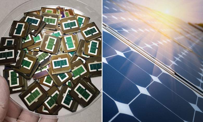 Kaust : découverte d’un procédé pour améliorer le rendement des panneaux solaires de 27%