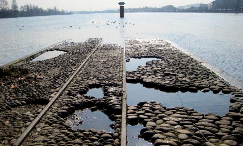 Réchauffement climatique : pourquoi il y a de moins en moins d'eau dans le Rhône ?