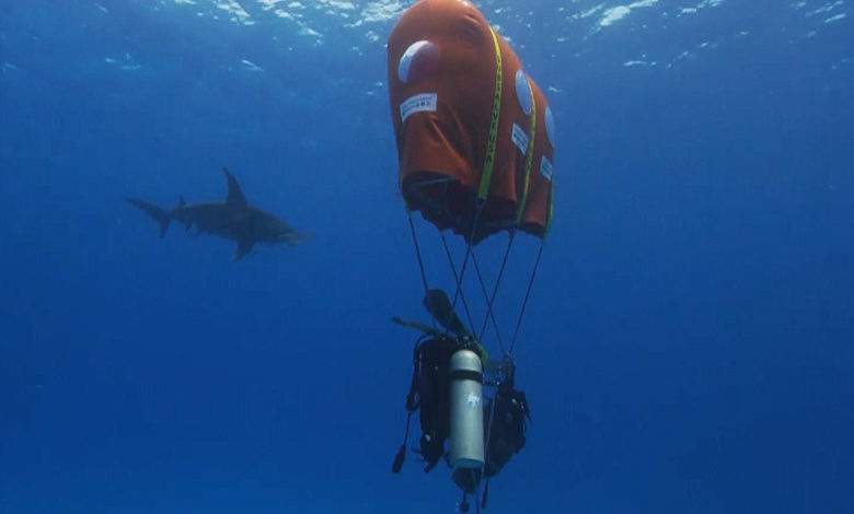 Ocean Space : il invente la "tente sous-marine" pour observer les requins sans bouteille de plongée